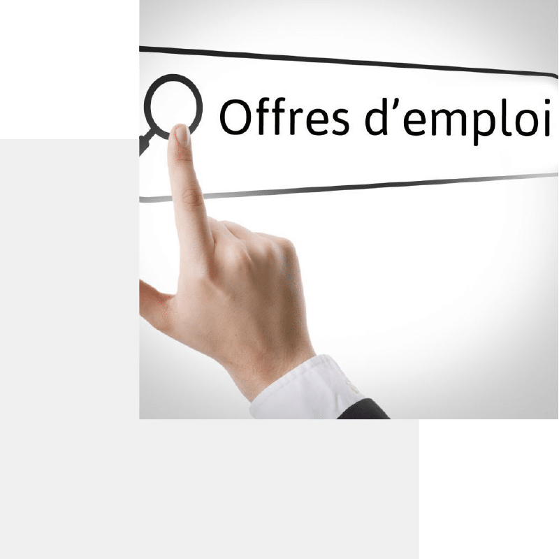 Emploi_800x800px
